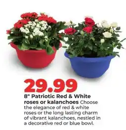 Hy-Vee 8 Patriotic Red & White roses or kalanchoes offer