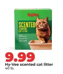 Hy-Vee Hy-Vee scented cat litter offer