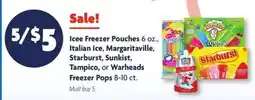 Family Dollar Icee Freezer Pouches offer
