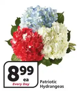 Albertsons Patriotic Hydrangeas offer