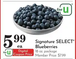 Pavilions Signature SELECT Blueberries offer