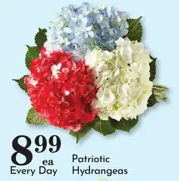 Pavilions Patriotic Hydrangeas offer