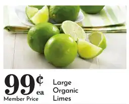 Pavilions Large Organic Limes offer