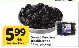 Vons Sweet Karoline Blackberries offer