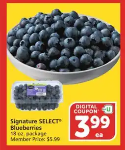 Vons Signature SELECT Blueberries offer