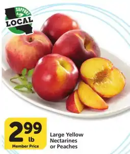 Vons Large Yellow Nectarines or Peaches offer