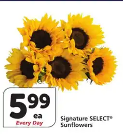 Vons Signature SELECT Sunflowers offer