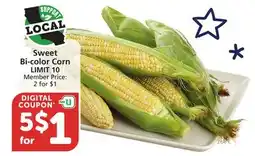 Vons Sweet Bi-color Corn offer