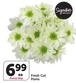 Vons Fresh Cut Poms offer