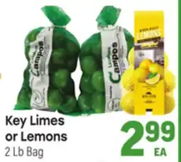 Tony’s Fresh Market Key Limes or Lemons offer
