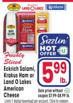 Jewel-Osco Eckrich Salami, Krakus Ham or Land O Lakes American Cheese offer