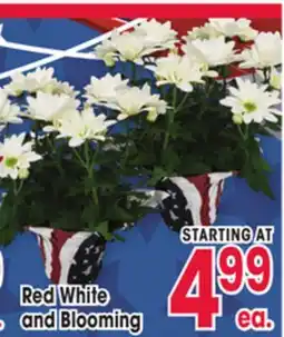 Jewel-Osco Red White and Blooming offer