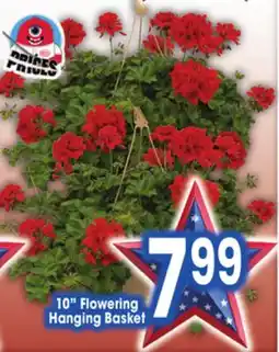 Jewel-Osco 10 Flowering Hanging Basket offer