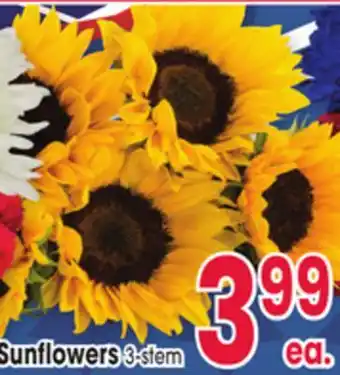 Jewel-Osco Sunflowers offer