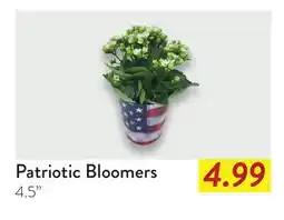Fresh Thyme Patriotic Bloomers offer