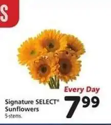 Safeway Signature SELECT Sunflowers offer
