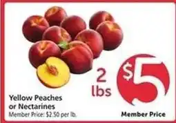 Safeway Yellow Peaches or Nectarines offer