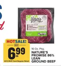 Food Lion Nature's Promise 86% Lean Ground Beef offer