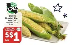 Albertsons Sweet Bi-Color Corn offer