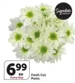 Albertsons Fresh Cut Poms offer