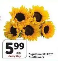 Albertsons Signature SELECT Sunflowers offer