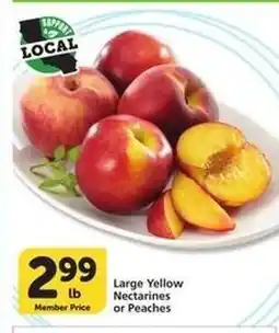 Albertsons Large Yellow Nectarines or Peaches offer