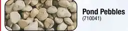 Ace Hardware Pond Pebbles Decorative & Landscaping Stone offer