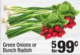 Super King Markets Green Onions or Bunch Radish offer