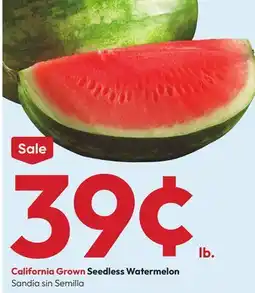 Stater Bros Seedless Watermelon offer