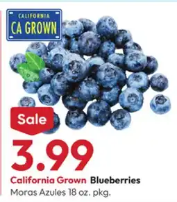 Stater Bros Blueberries offer