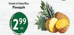 Rio Valley Market Pineapple offer