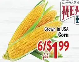 Rio Valley Market Corn offer
