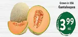 Rio Valley Market Cantaloupes offer