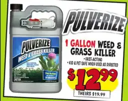 Ollie's 1 GALLON WEED & GRASS KILLER offer