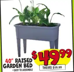 Ollie's 40 RAISED GARDEN BED offer