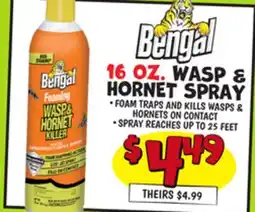 Ollie's 16 OZ. WASP & HORNET SPRAY offer