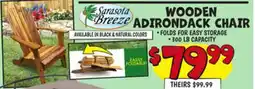 Ollie's WOODEN ADIRONDACK CHAIR offer