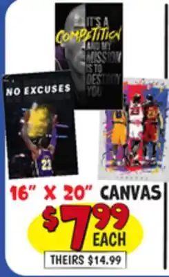 Ollie's 16 X 20 CANVAS offer