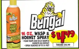 Ollie's BENGAL 16 OZ. WASP & HORNET SPRAY offer