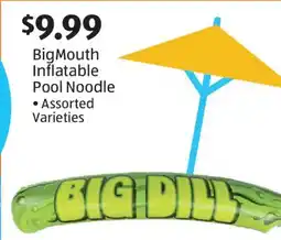 Aldi BigMouth Inflatable Pool Noodle offer