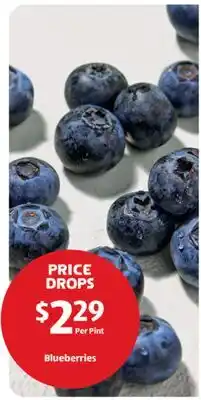 Aldi Blueberries offer