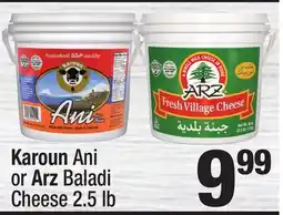 Super King Markets Karoun Ani or Arz Baladi Cheese offer