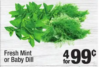Super King Markets Fresh Mint or Baby Dill offer