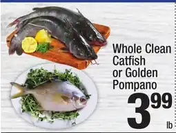 Super King Markets Whole Clean Catfish or Golden Pompano offer