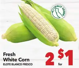 Vallarta Supermarkets Fresh White Corn/ELOTE BLANCO FRESCO offer