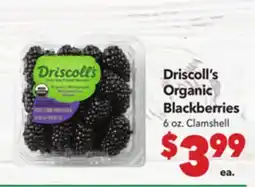 Vallarta Supermarkets Driscoll's Organic Blackberries offer