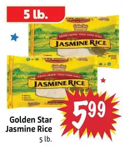 Foodmaxx Golden Star Jasmine Rice offer