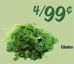 El Super Fresh Cilantro offer