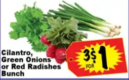 Superior Grocers Cilantro, Green Onions or Red Radishes Bunch offer