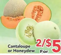 Eurofresh Market Cantaloupe or Honeydew offer